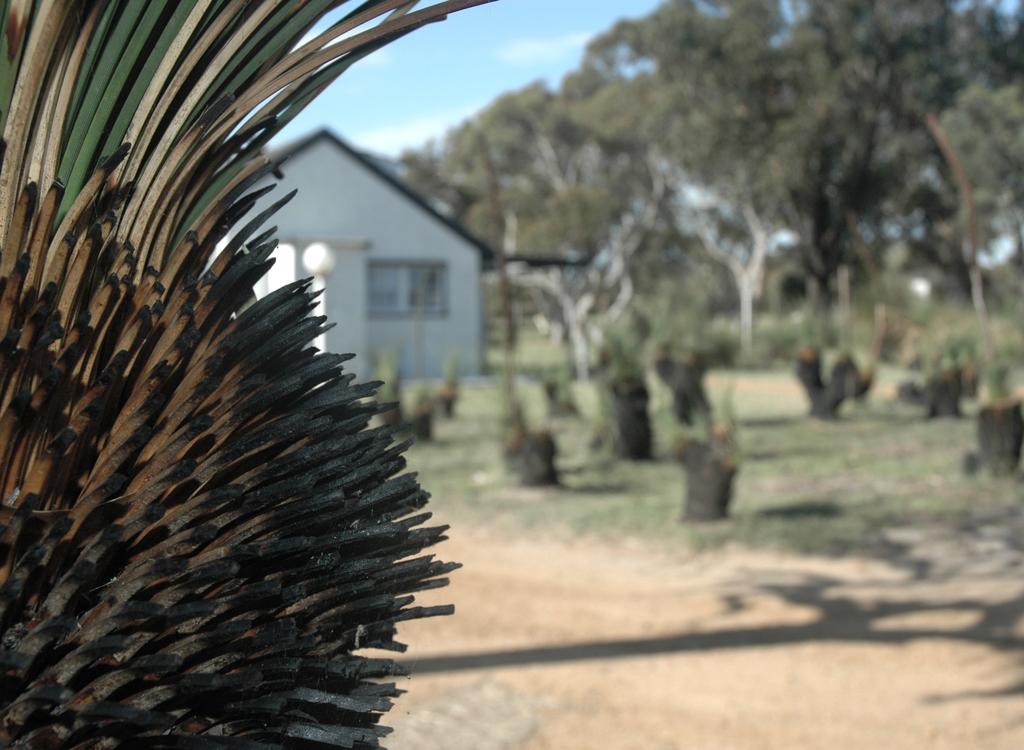 Esperance Coastal Retreat Villa Eksteriør bilde